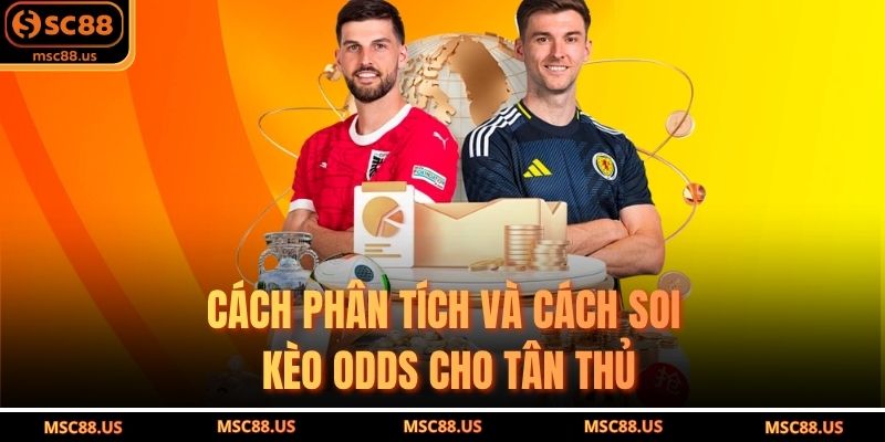 Cách phân tích và cách soi kèo odds cho tân thủ
